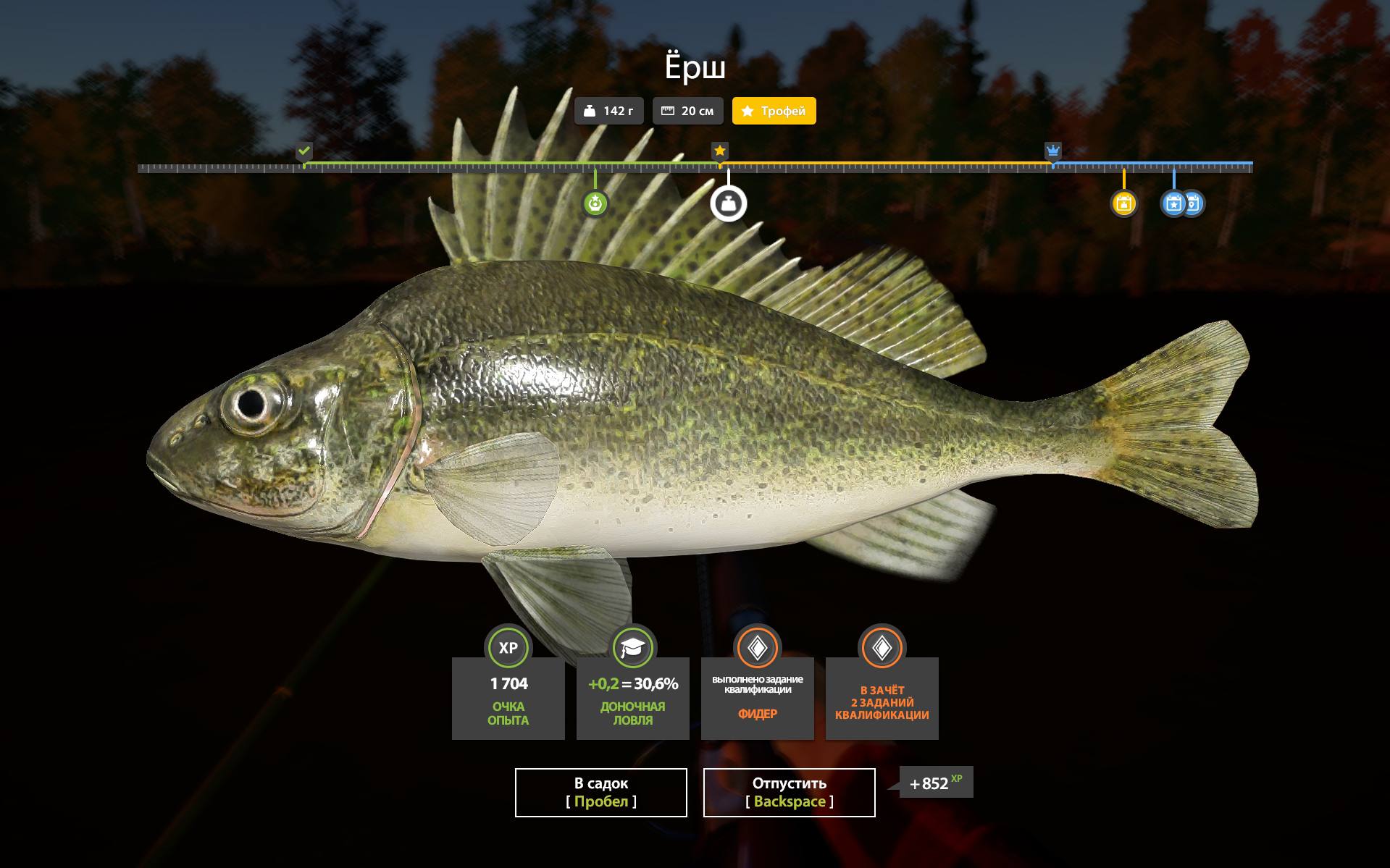 Mosquito Lake — Trophy