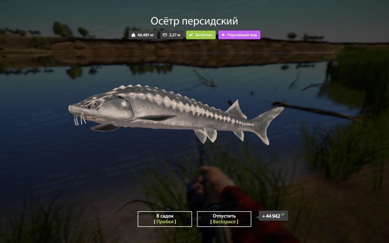 Река Ахтуба