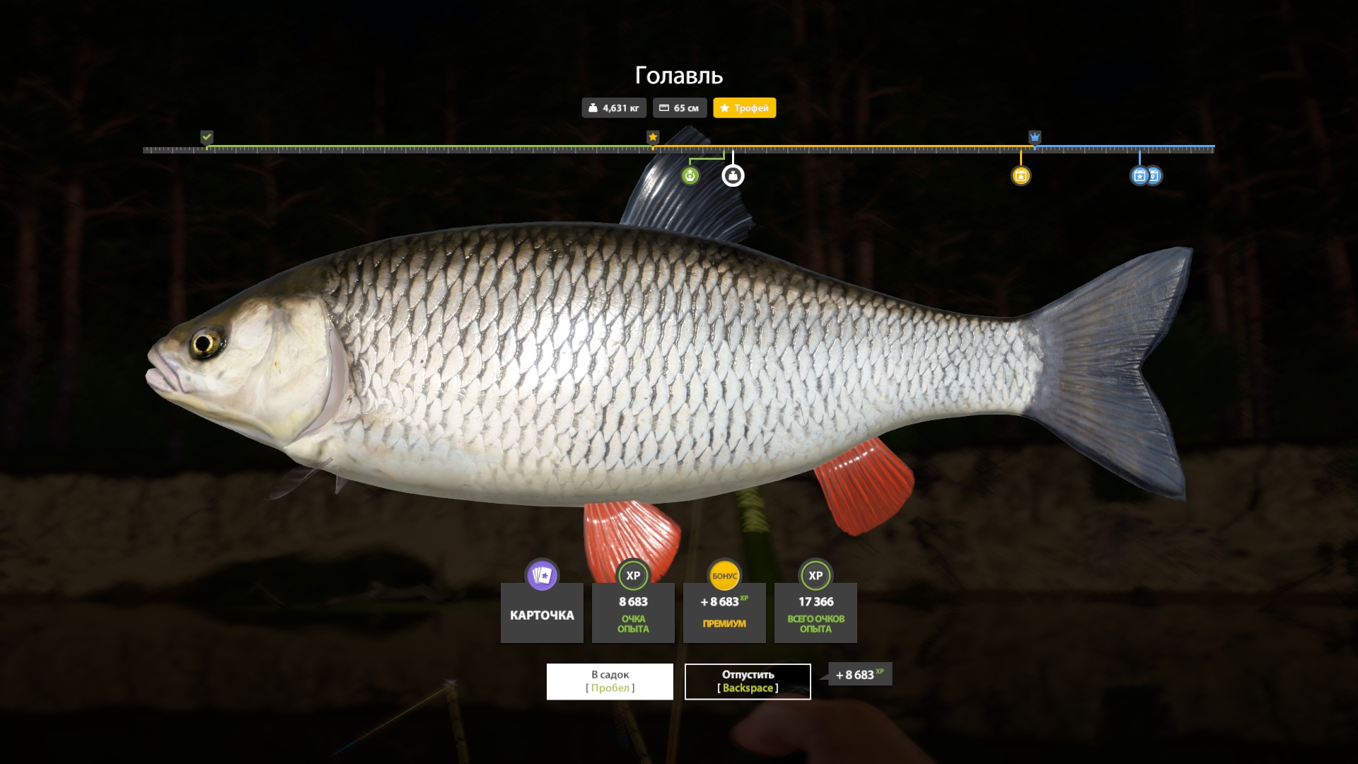 Winding Rivulet — Trophy