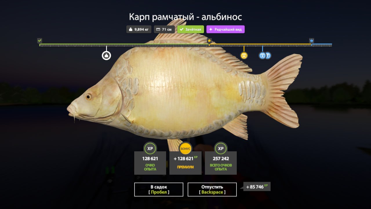 Miscellaneous — The Amber Lake