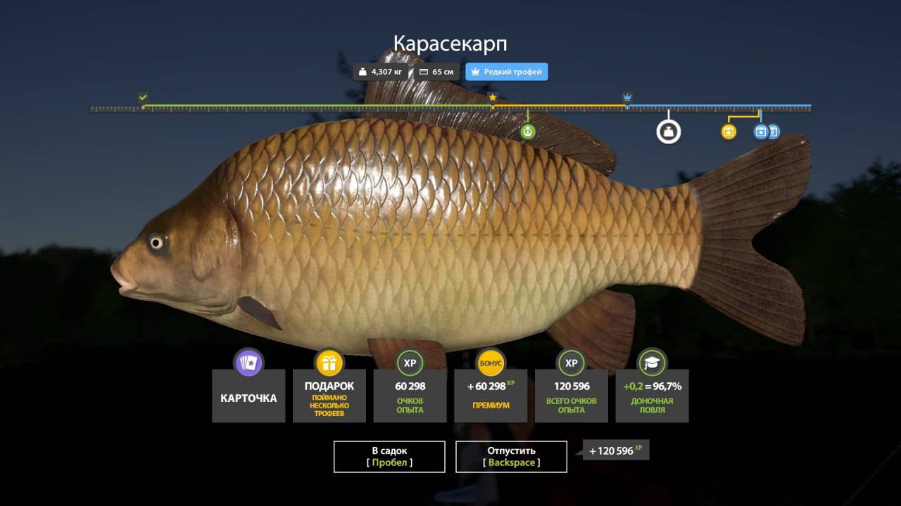 Трофей — Озеро Медное