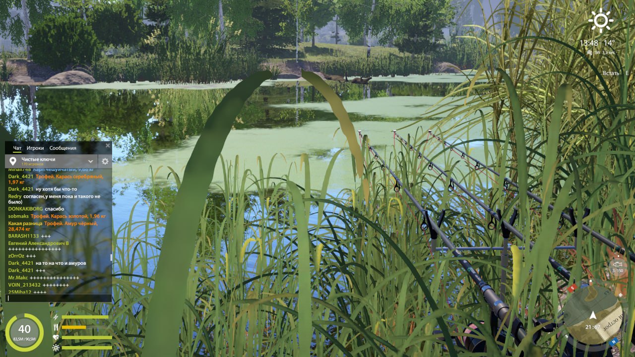 Spot — Old Burg Lake