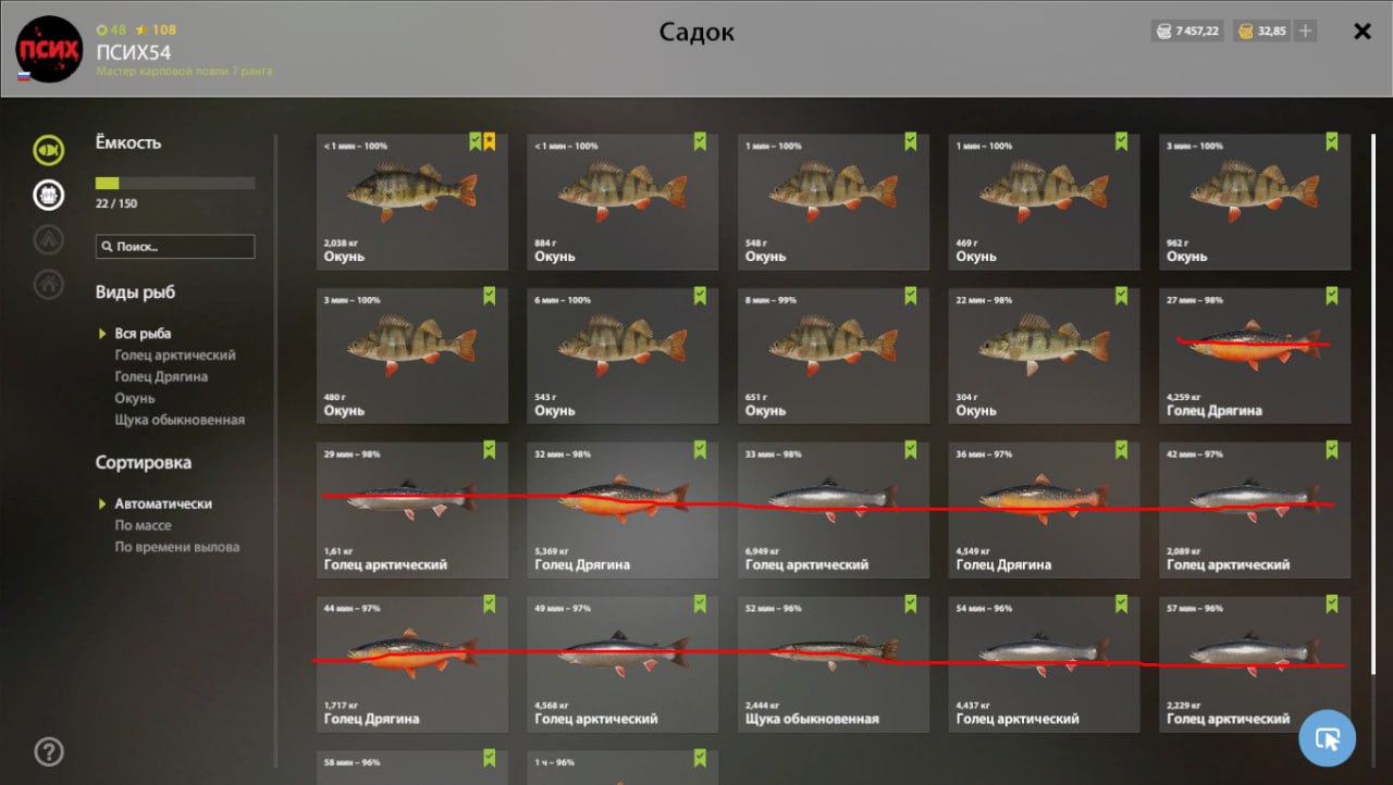 Озеро Комариное — Садок