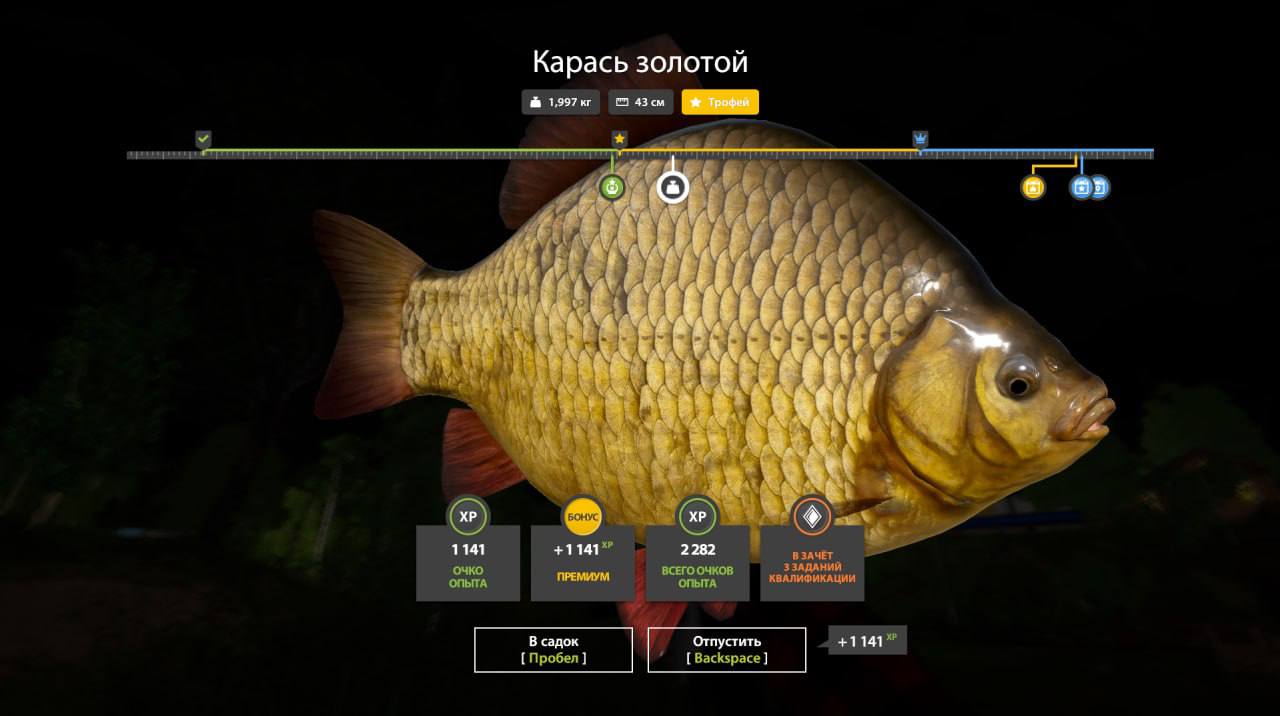 Copper Lake — Trophy