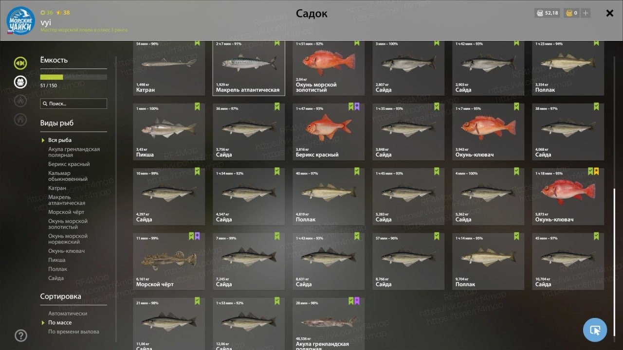 Норвежское море