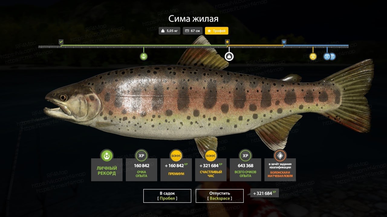 Yama River — Trophy