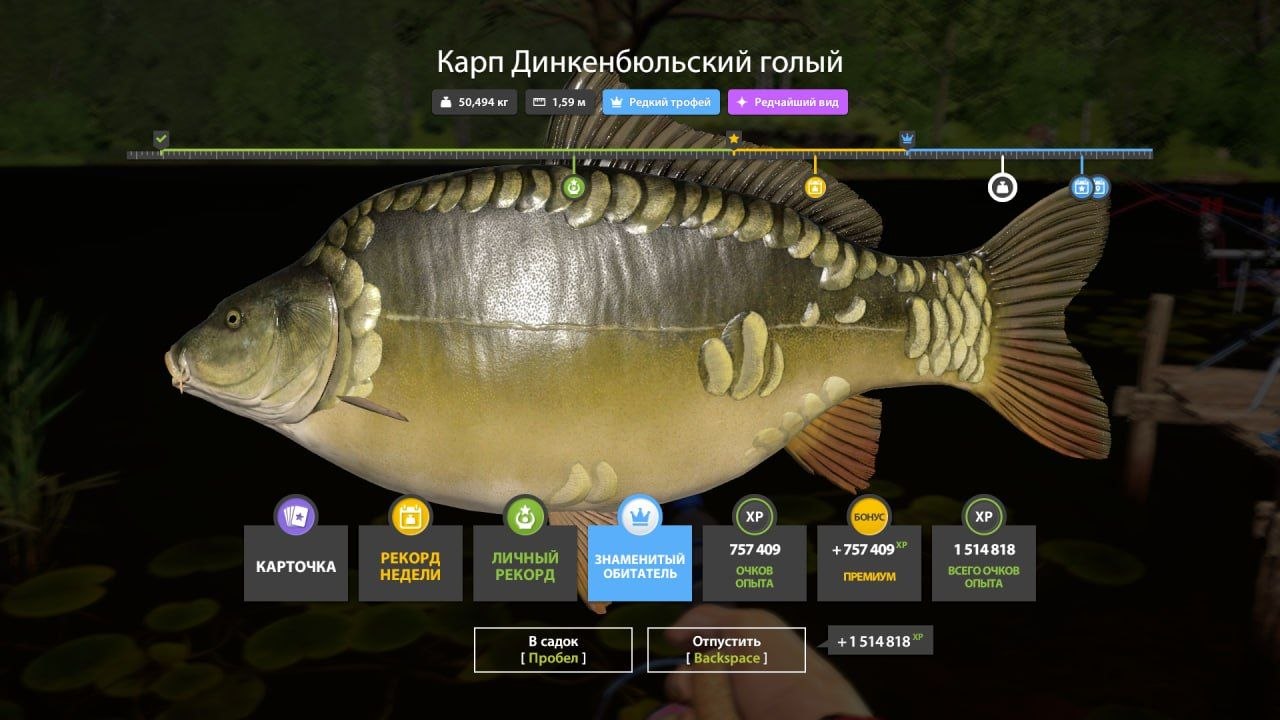 Трофей — Озеро Медное