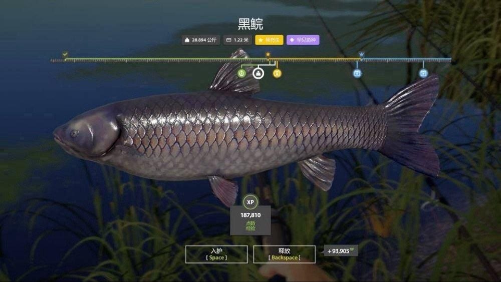 Trophy — Old Burg Lake