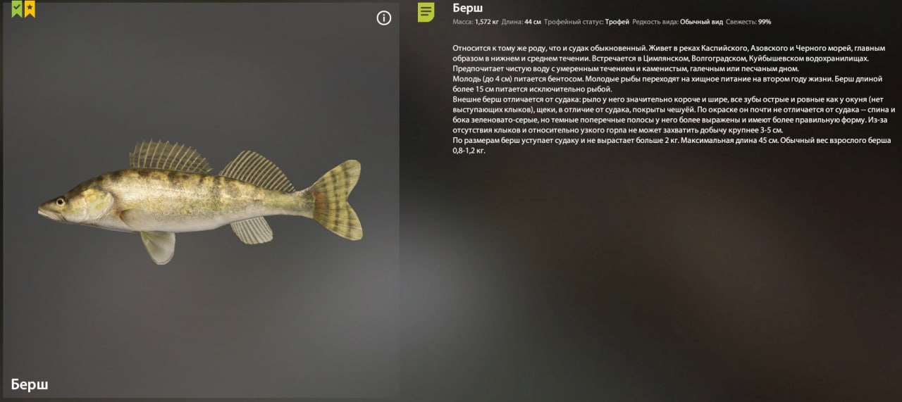 Река Вьюнок — Трофей