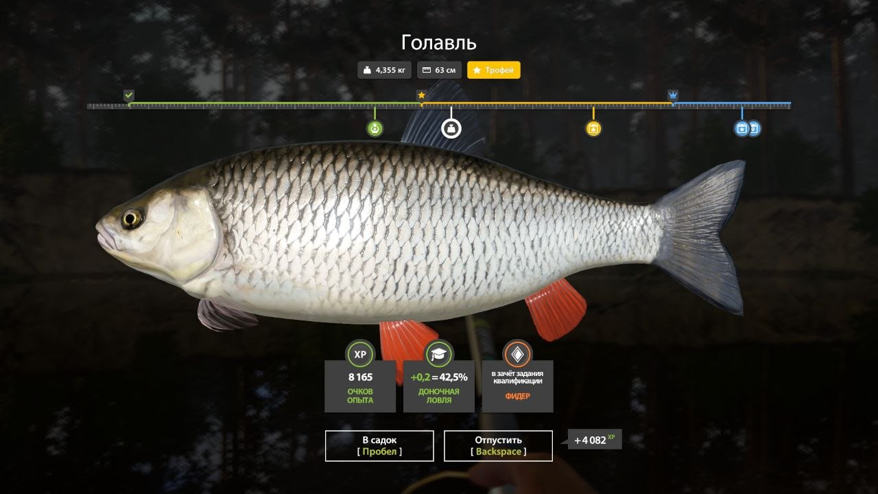 Трофей — Река Вьюнок