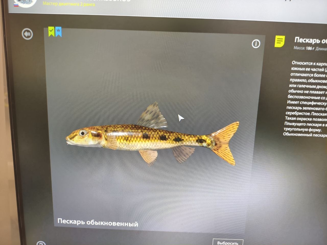 Трофей — Река Вьюнок