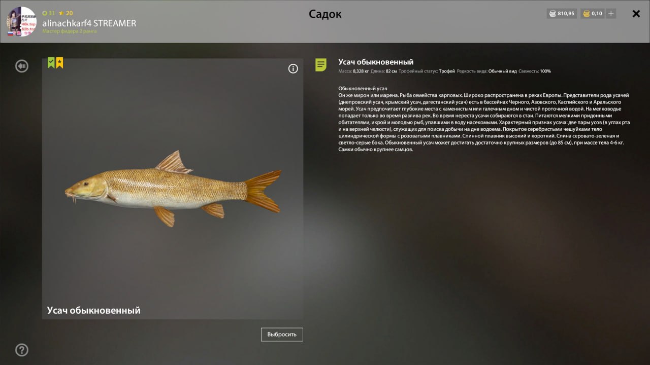 Озеро Медвежье — Трофей