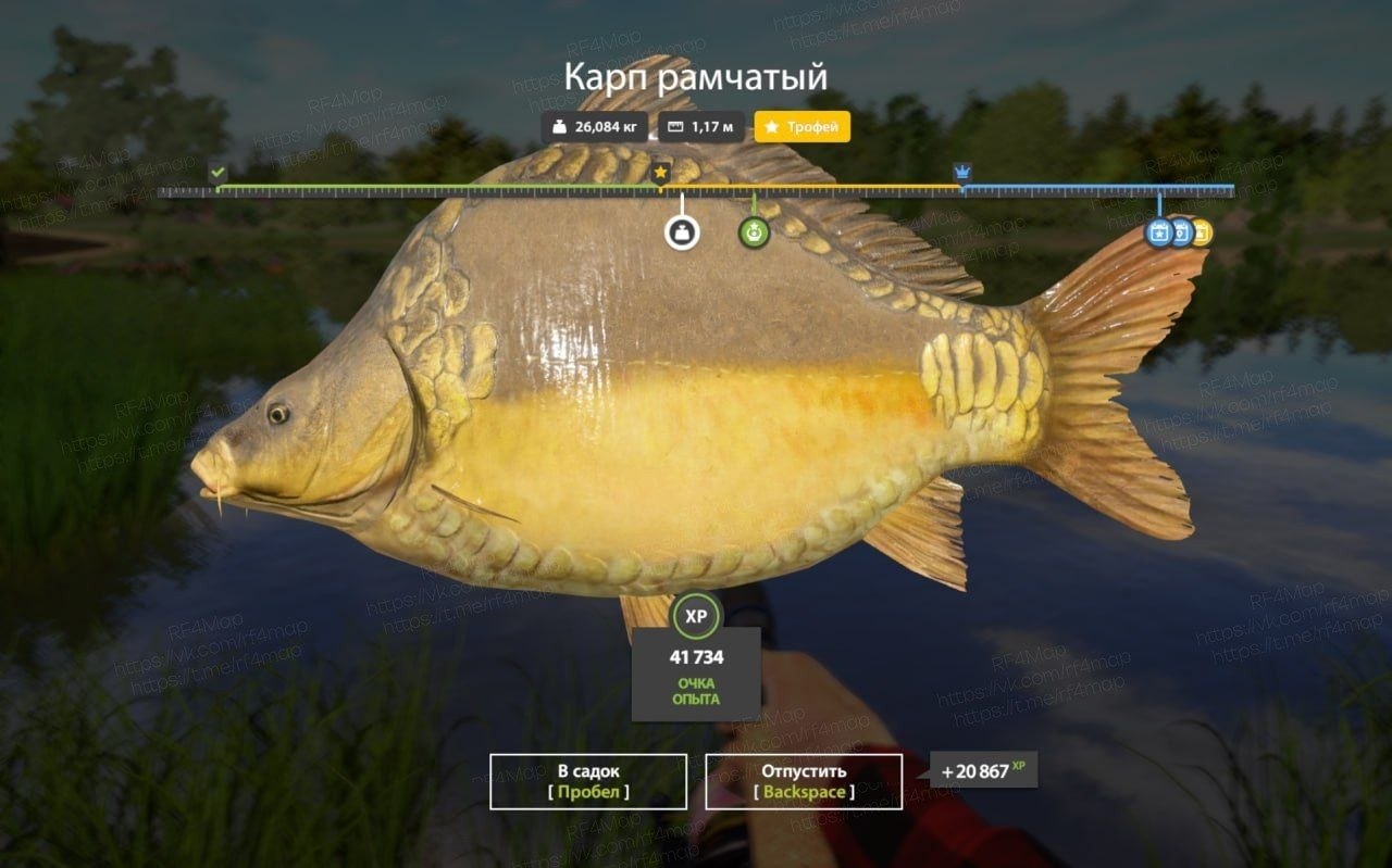 The Amber Lake — Trophy