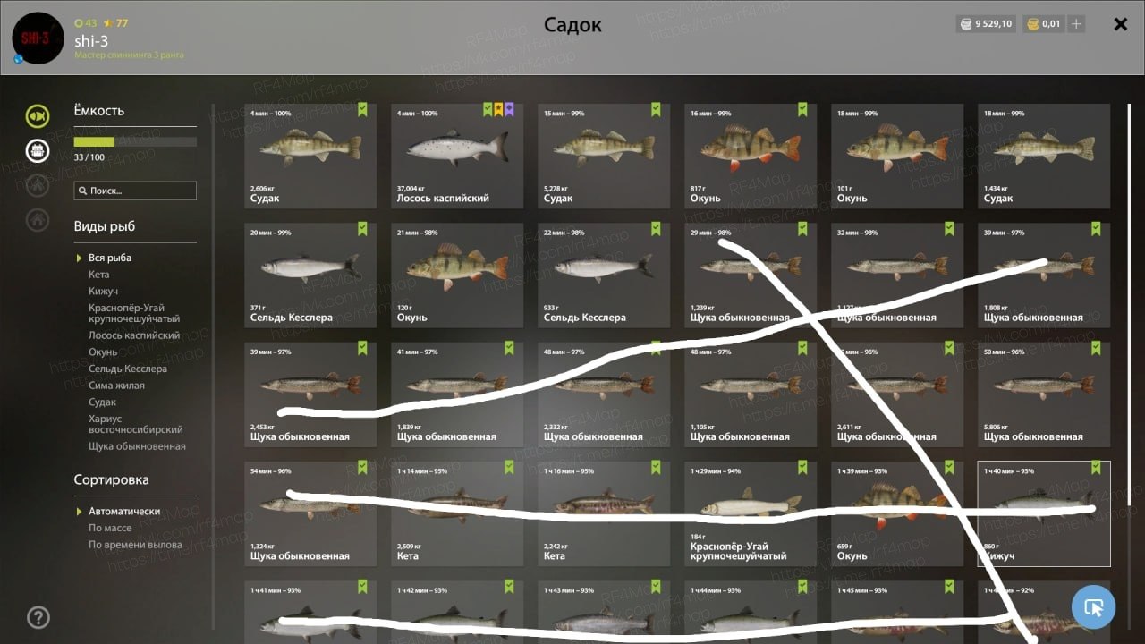 Река Ахтуба — Садок