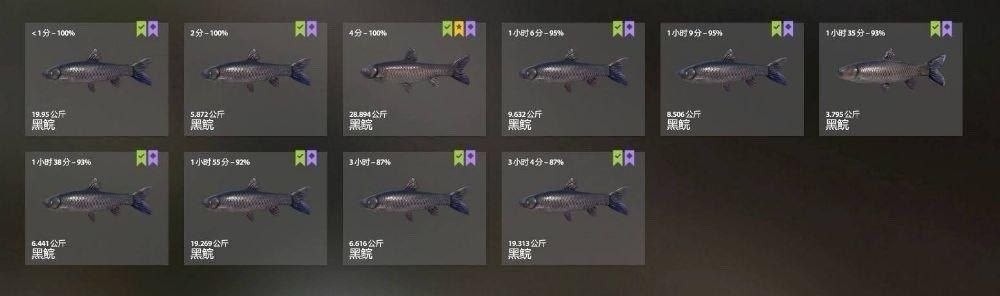 Keepnet — Old Burg Lake