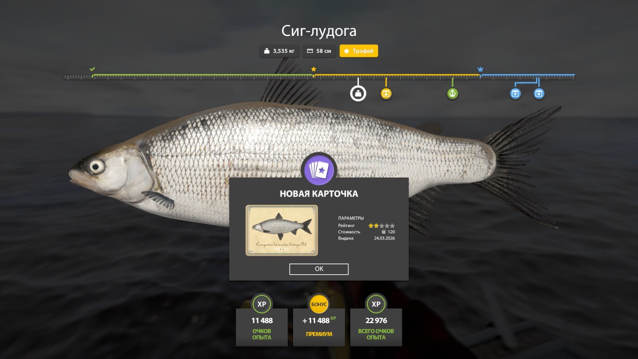 Trophy — Ladoga Archipelago