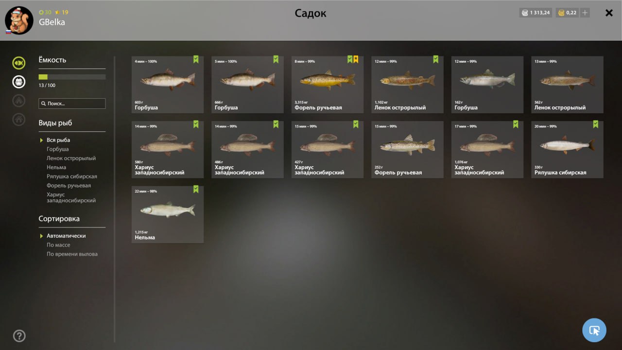 Река Нижняя Тунгуска — Садок