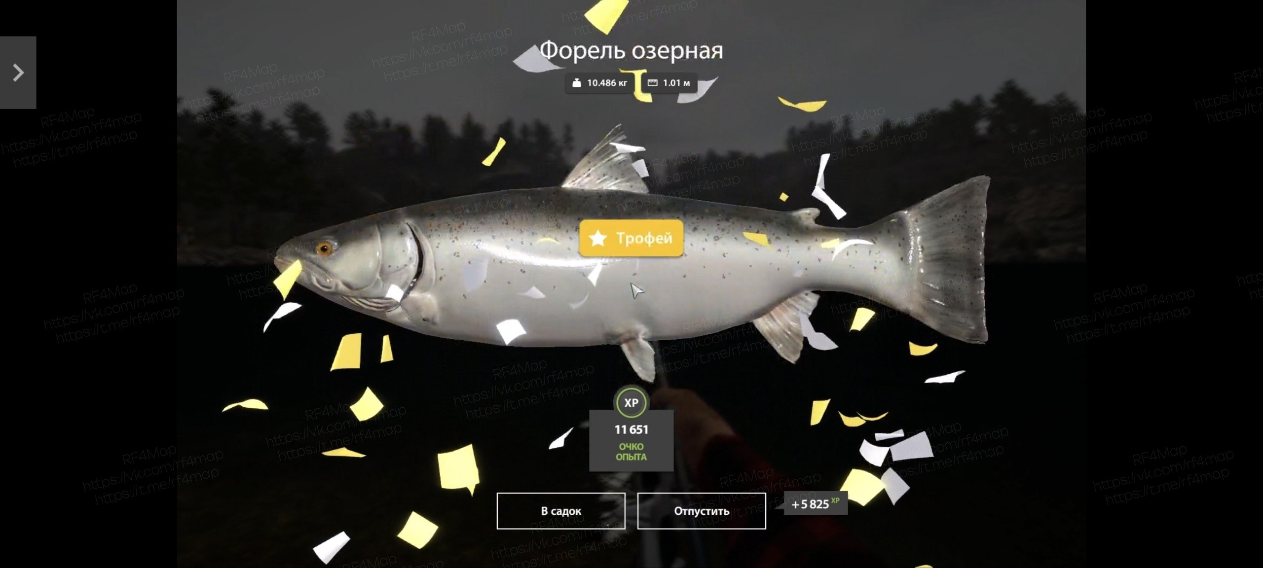 Озеро Куори