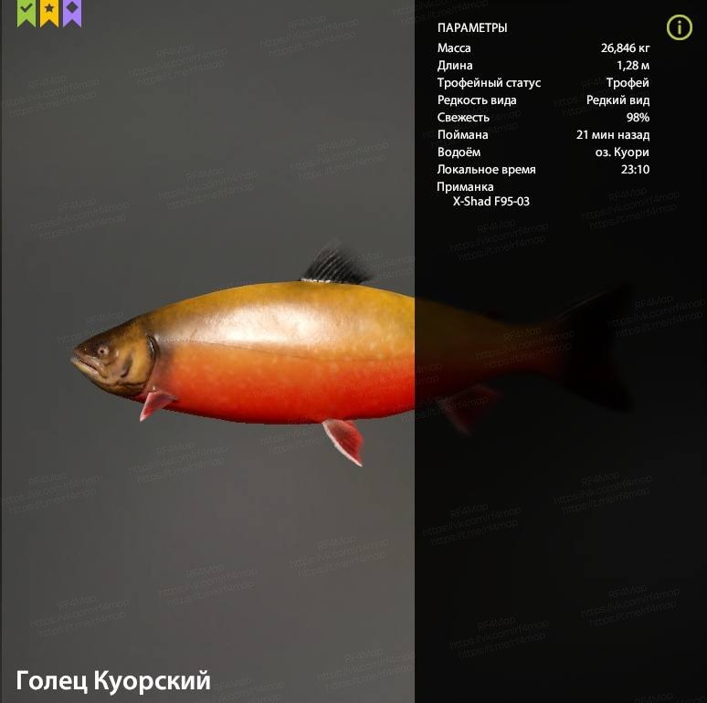 Озеро Куори