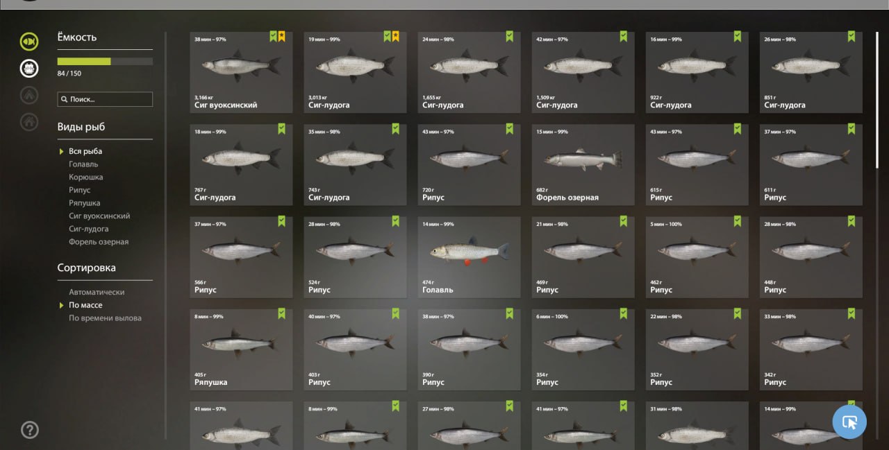 Ладожское озеро — Садок