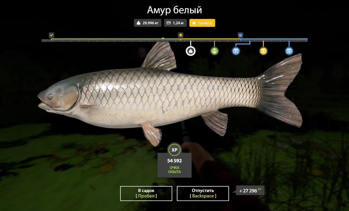 Озеро Старый Острог — Трофей