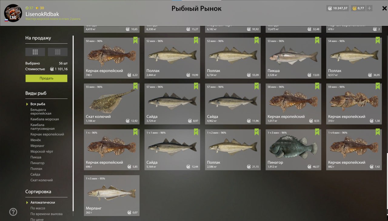 Keepnet — Norwegian Sea