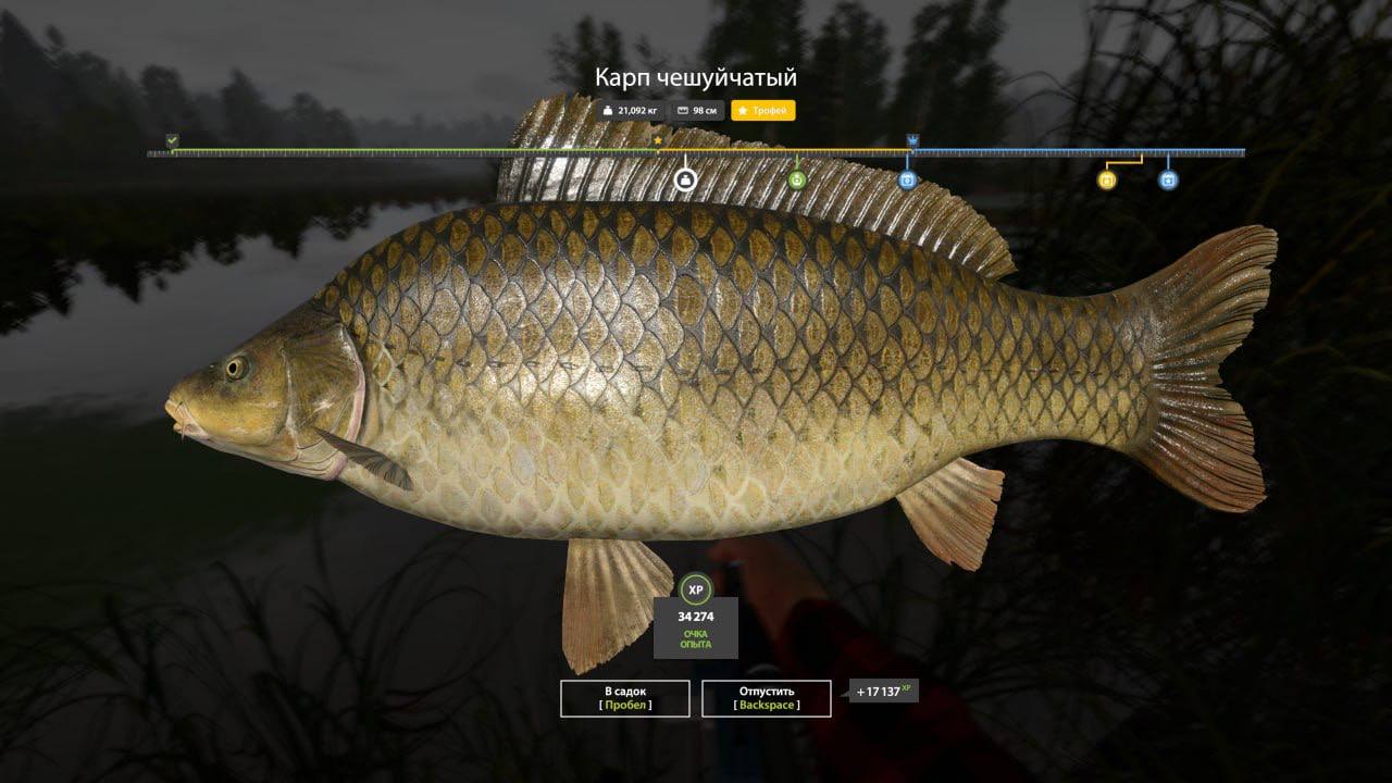 Trophy — Old Burg Lake