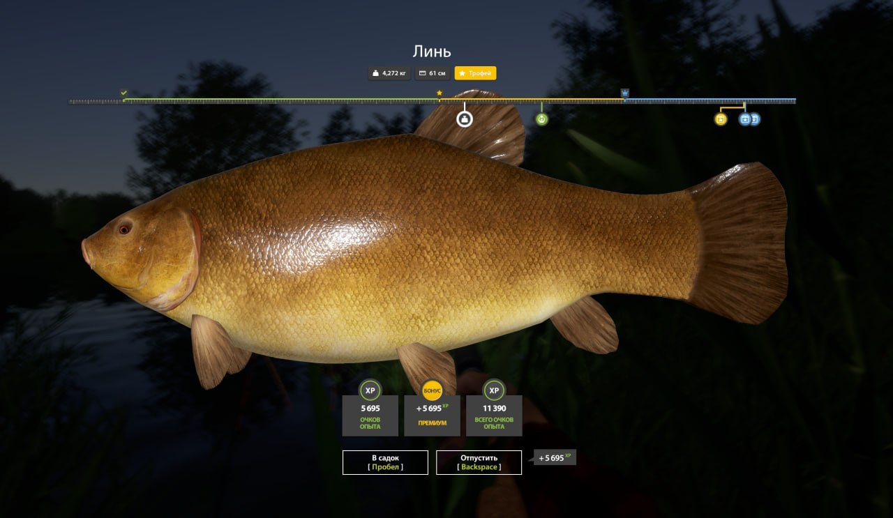 Copper Lake — Trophy