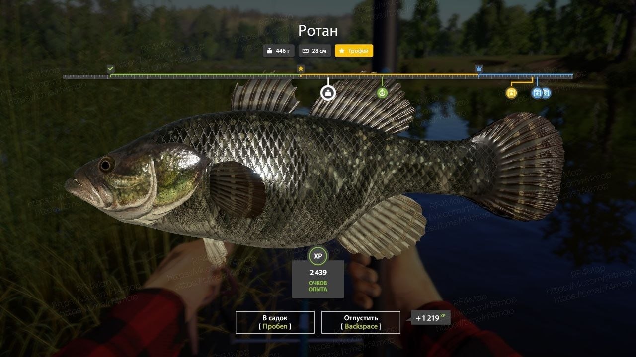 Mosquito Lake — Trophy