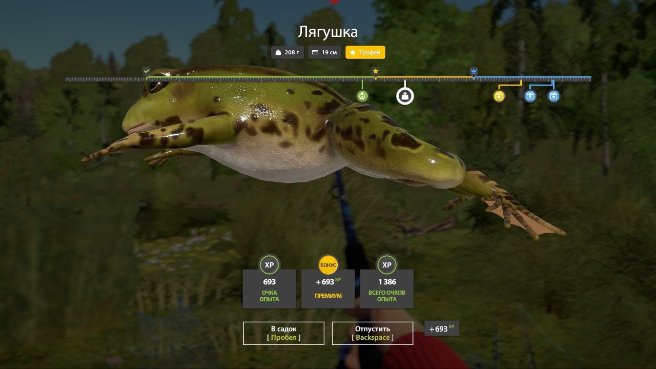 Трофей — Озеро Комариное