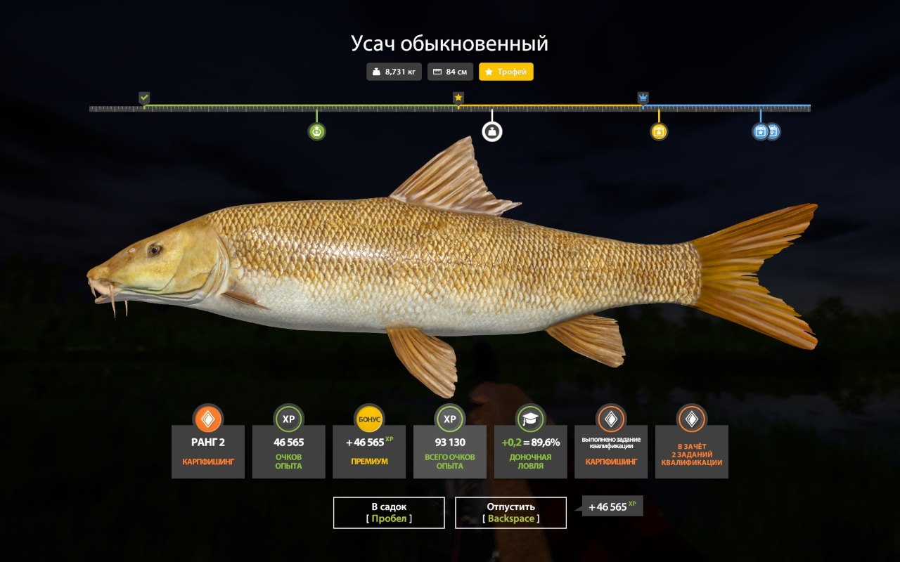 Trophy — Bear Lake