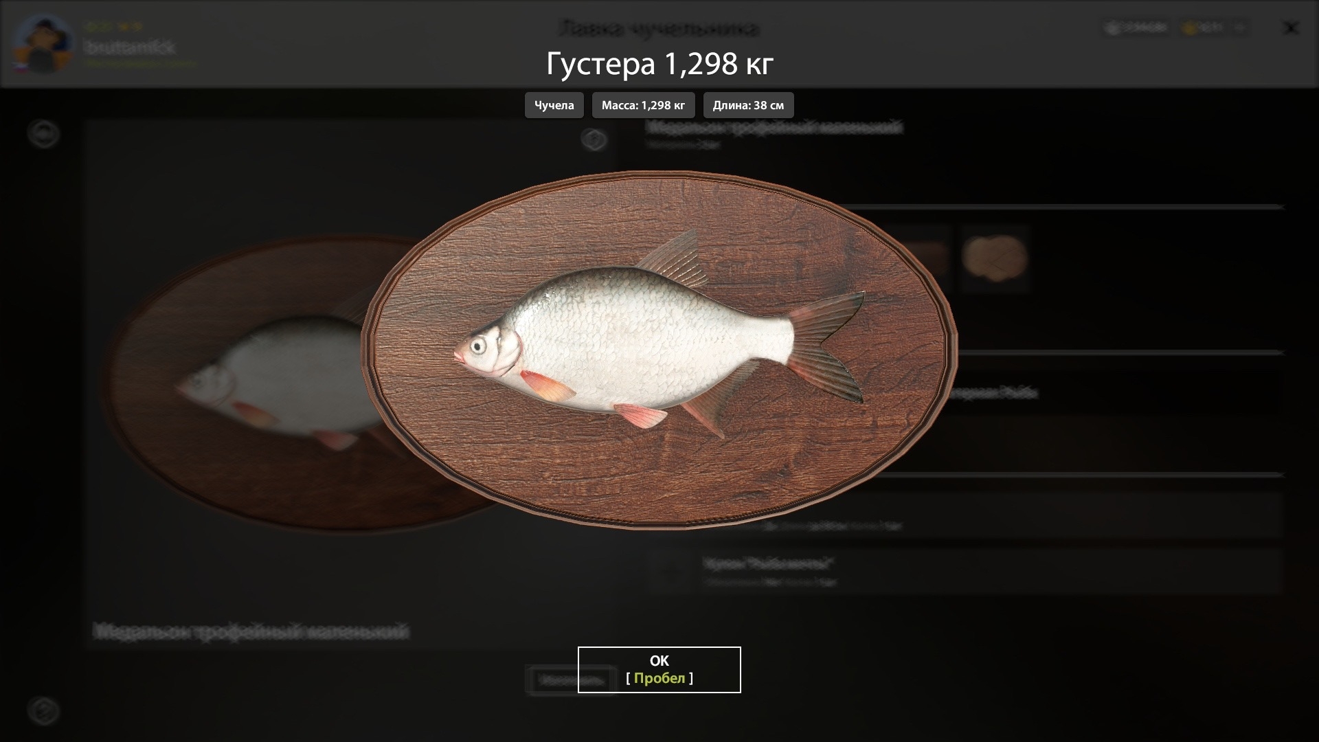 Разное — Река Вьюнок