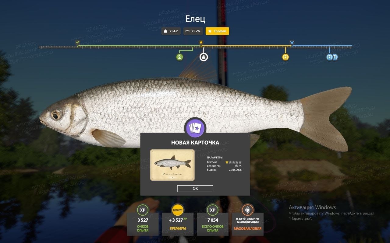 Winding Rivulet — Trophy