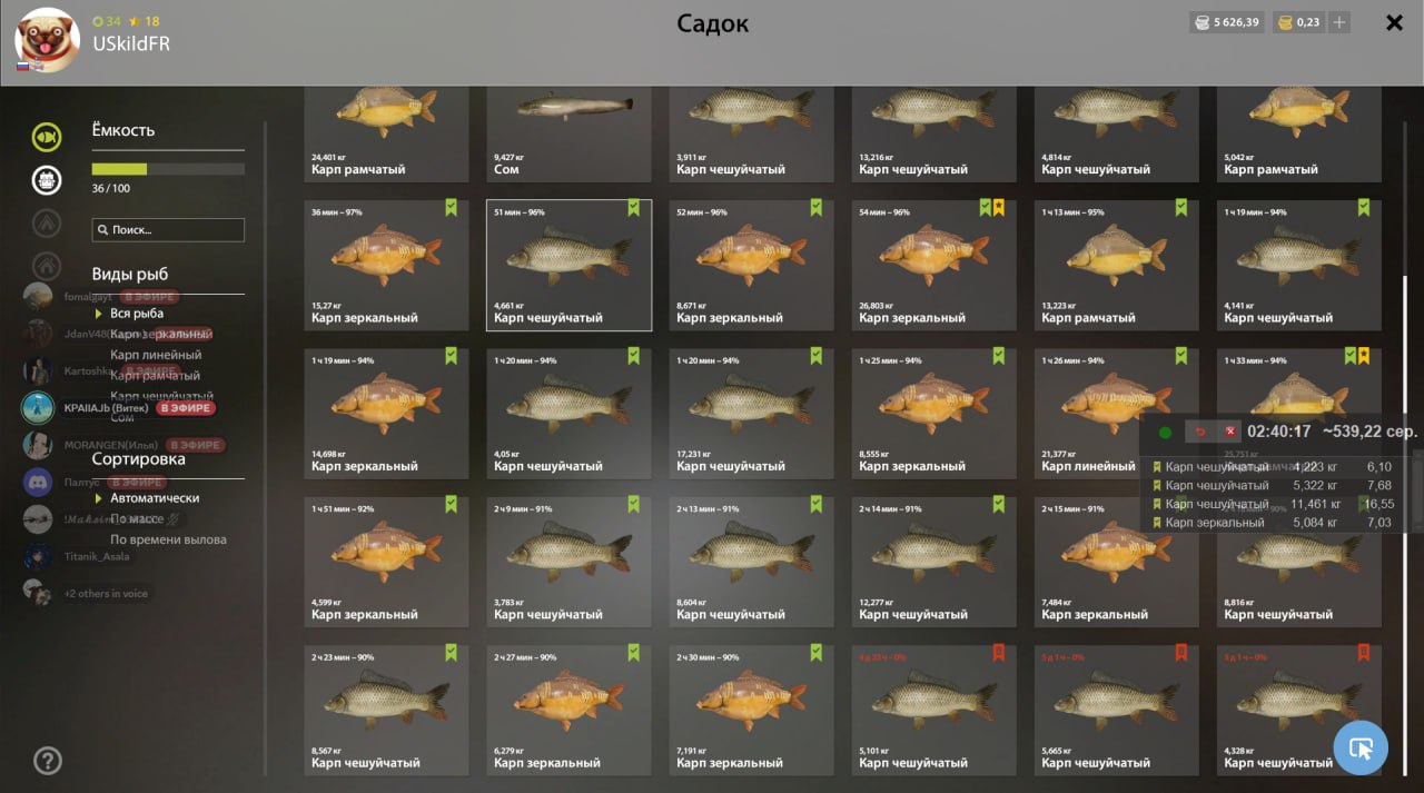 Keepnet — The Amber Lake