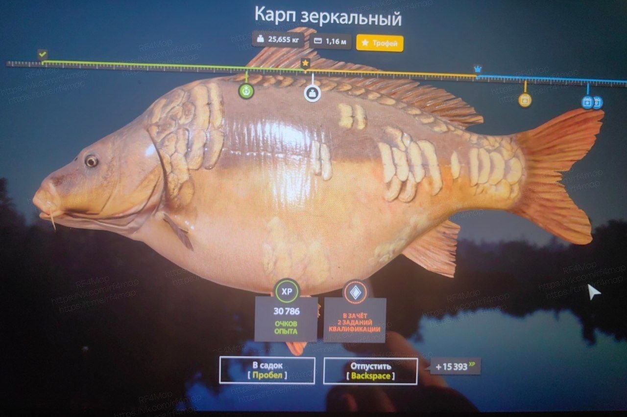 Озеро Медвежье — Трофей