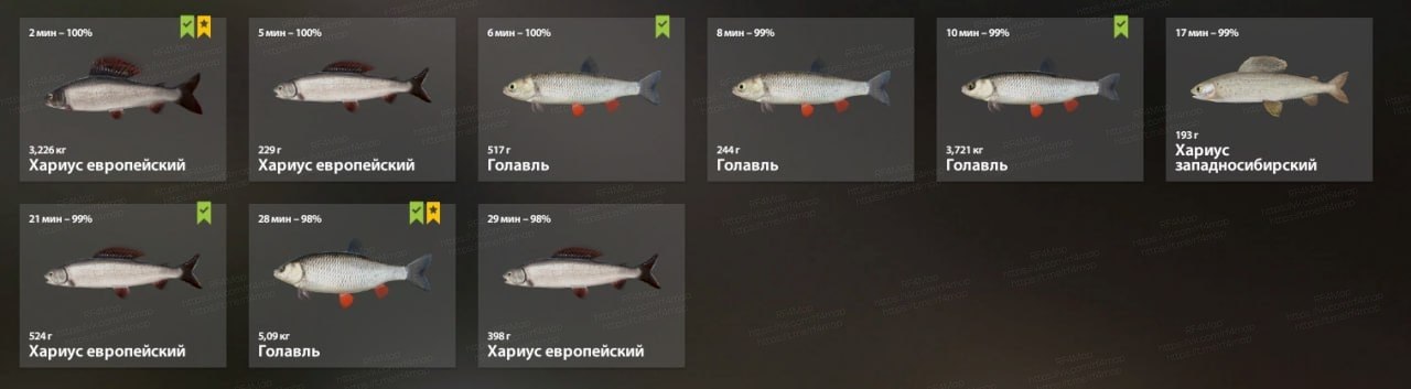 Река Белая