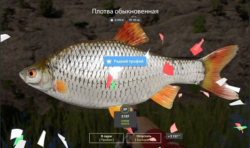 Trophy — Ladoga Lake