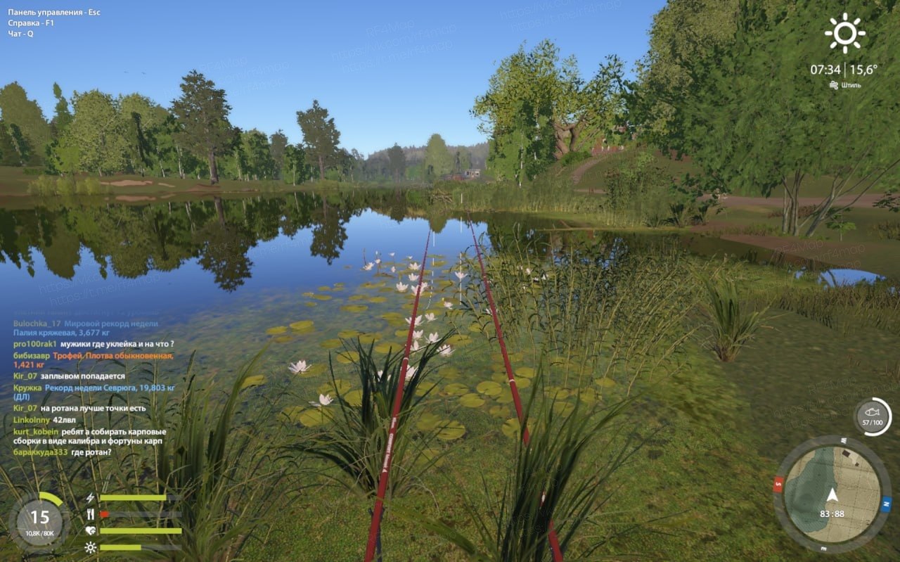 Mosquito Lake — Spot