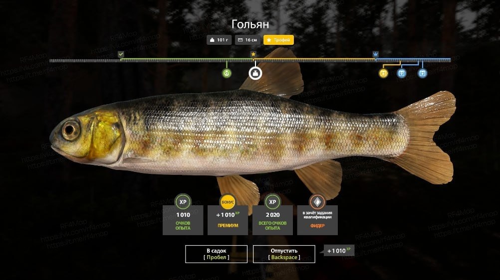 Kuori Lake — Trophy