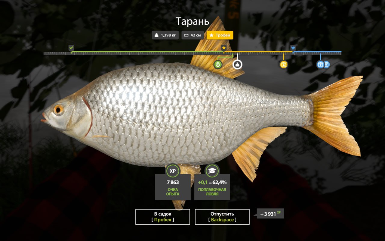 Трофей — Река Северский Донец