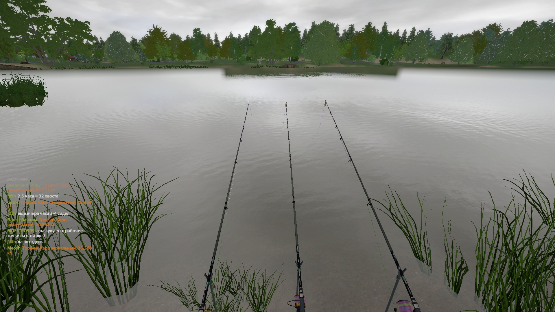 Озеро Янтарное — Точка