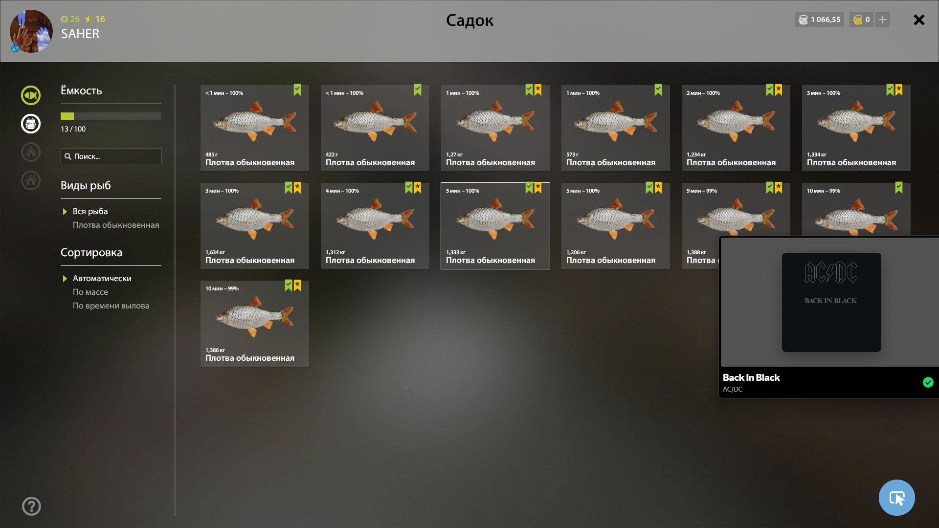 Садок — Ладожское озеро