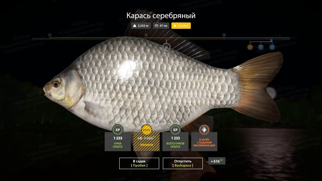 Озеро Комариное