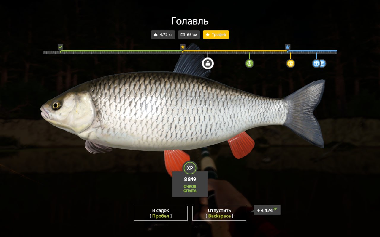 Trophy — Winding Rivulet