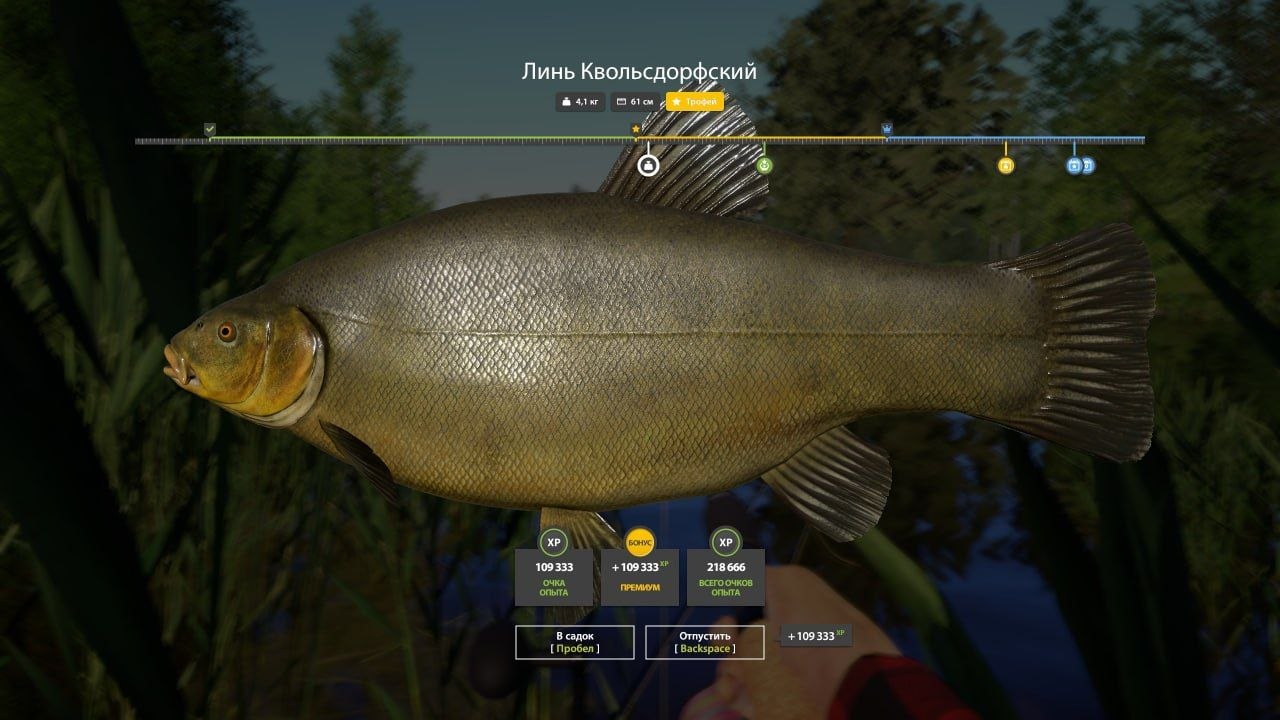 Copper Lake — Trophy