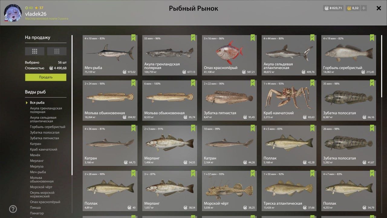 Садок — Норвежское море