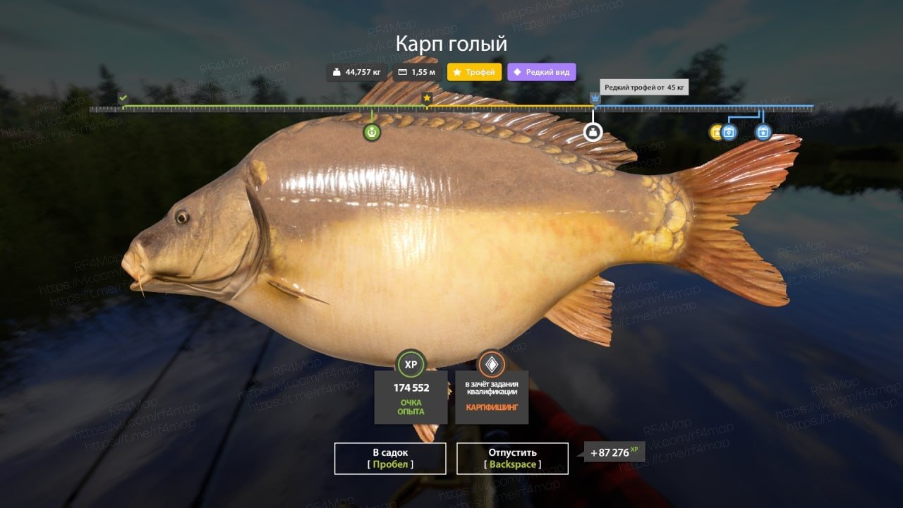 Озеро Медвежье