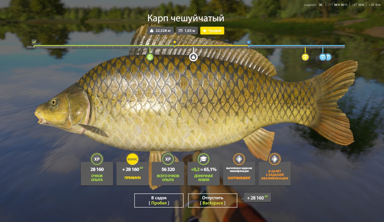 Трофей — Озеро Янтарное