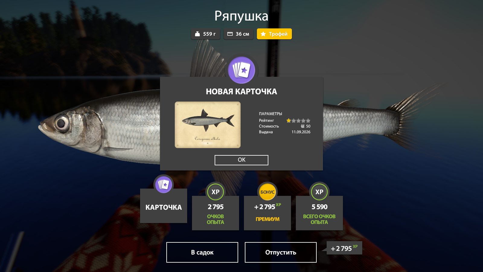 Ладожское озеро