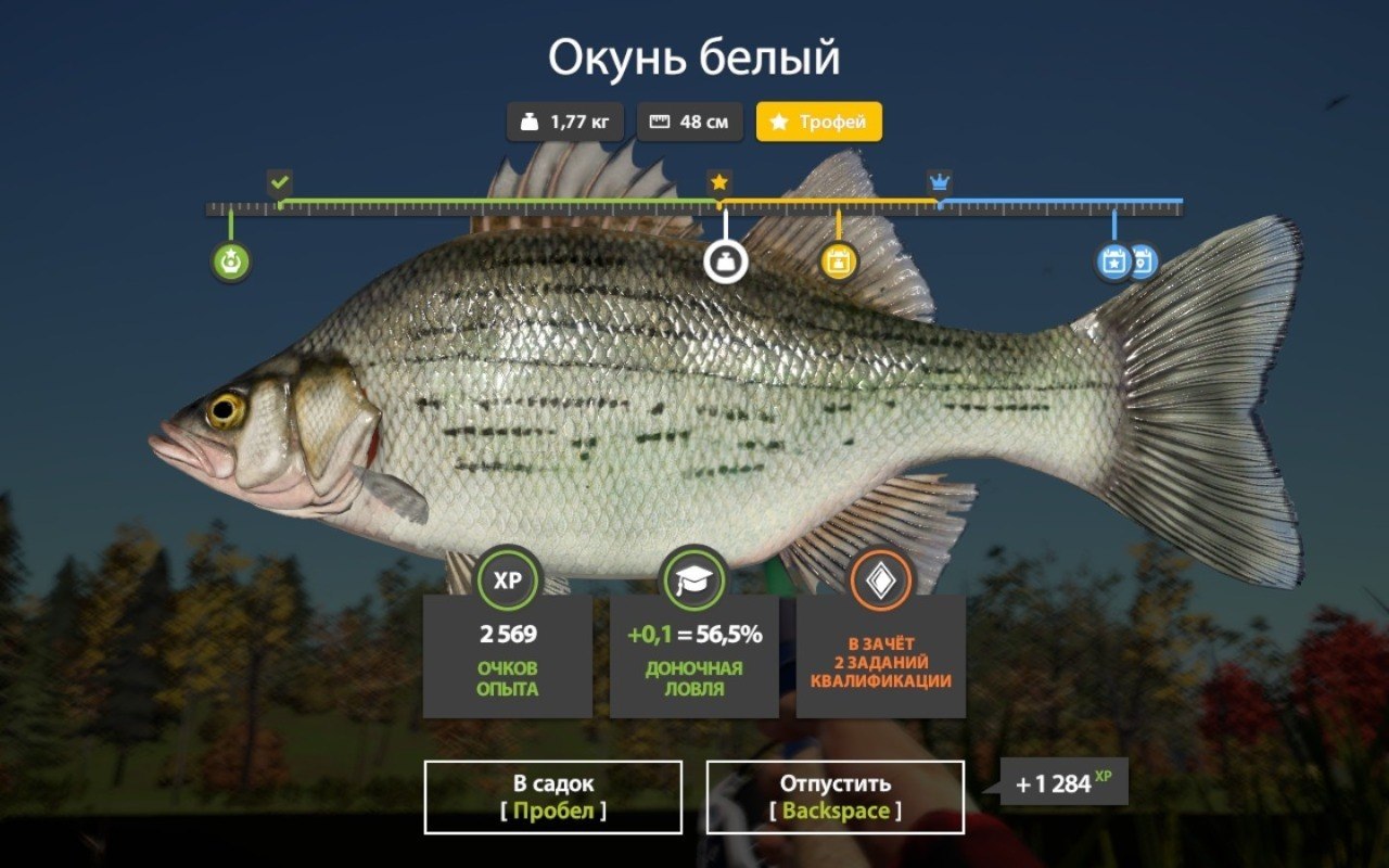 Озеро Лосиное — Трофей